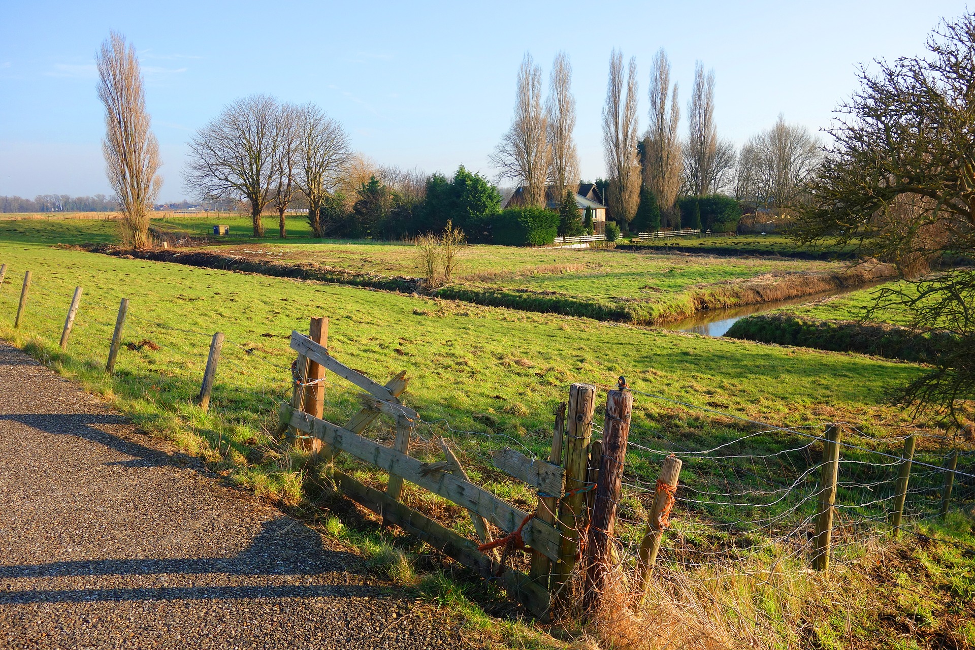 meadow-3169294_1920